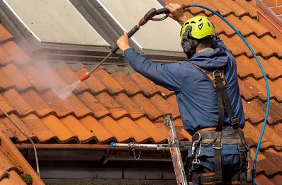 Démoussage et hydrofuge de toiture à Viscos